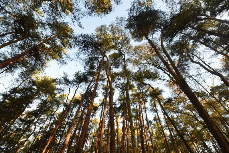 4대보험 환급 조회