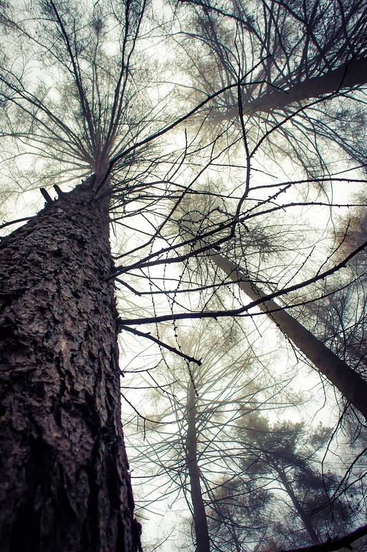 4대보험 환급 조회