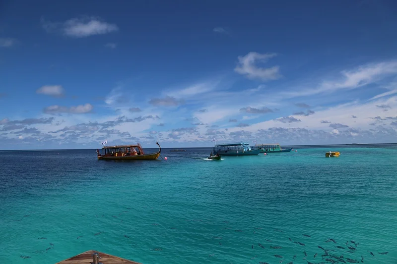 개인사업자 전환 시 절세