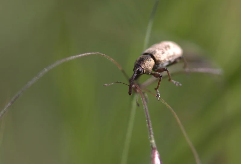 고소득자 절세 플랜