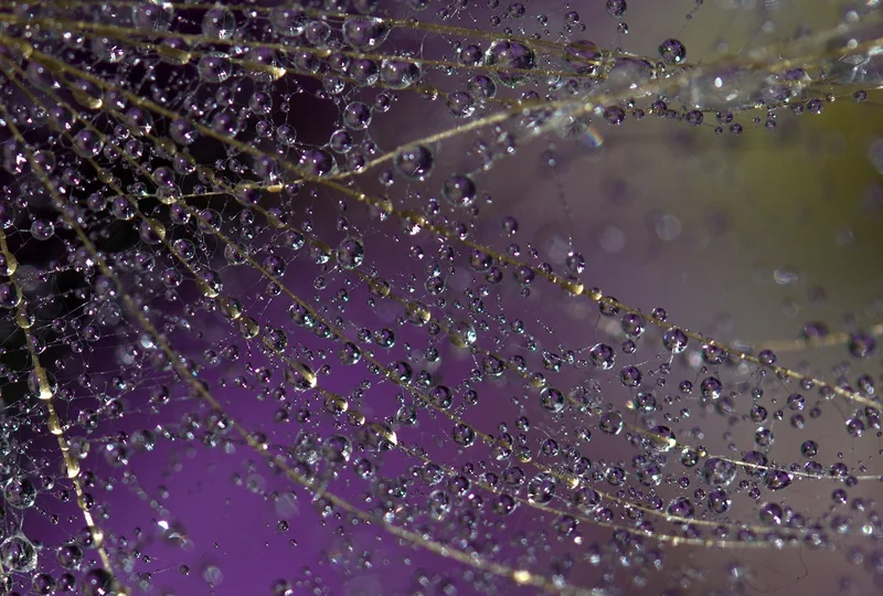 고소득자 절세 플랜