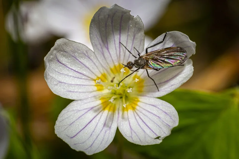 고용보험 환급금 조회