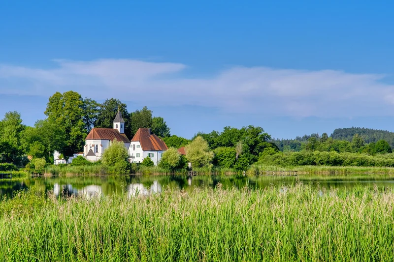 공제 항목 누락 시 대처