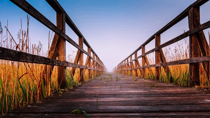 국민연금 환급 방법