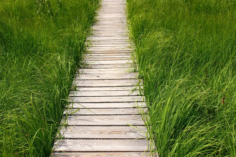 국민연금 환급 방법