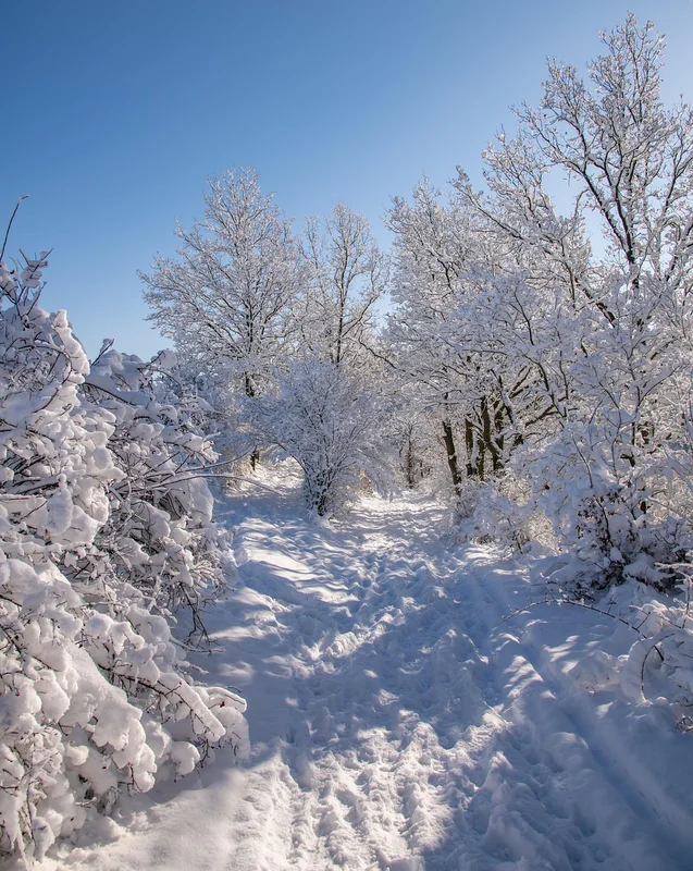국민연금 환급 방법