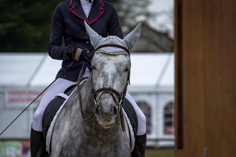 금융소득 종합과세 기준
