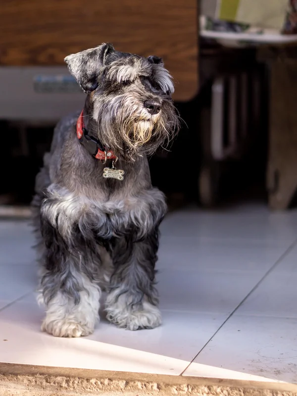 기부금 세액공제 조건