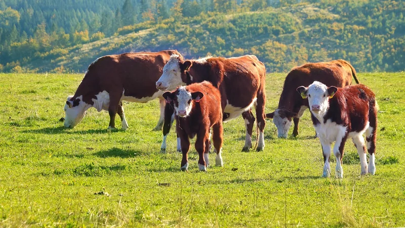 부업 세금 줄이는 법