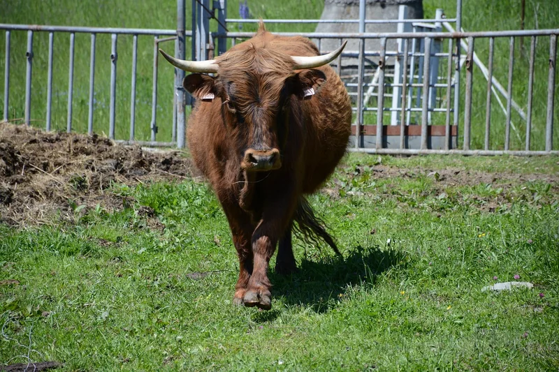 블로그 수익 세금 신고