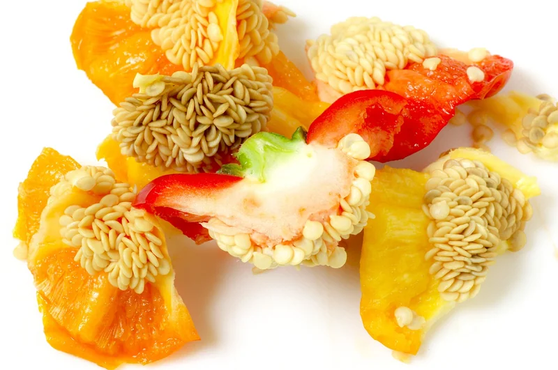 비과세 펀드 종류