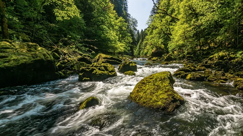 세금 폭탄 피하는 법
