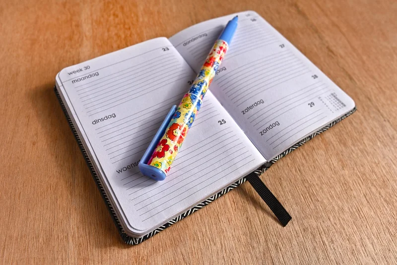 세금 환급 일정 조회