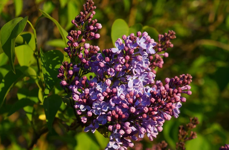 세무대리인 없이 신고하기