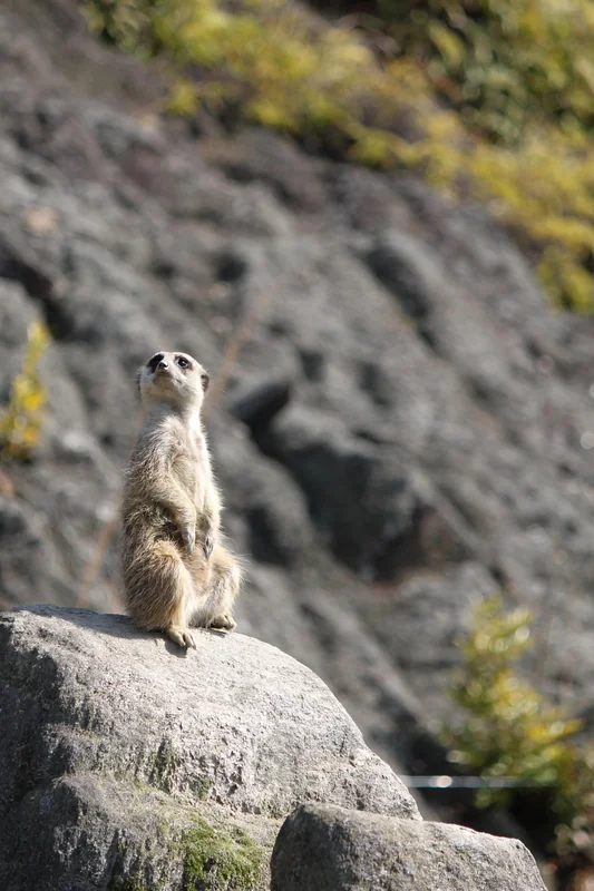 세무사 없이 절세하는 법