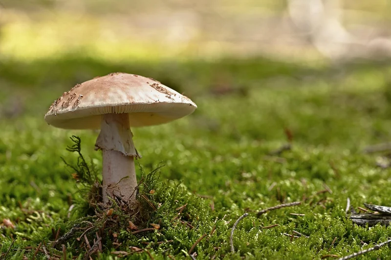 세액공제 받을 수 있는 항목