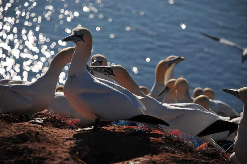 연말정산 간이세액표