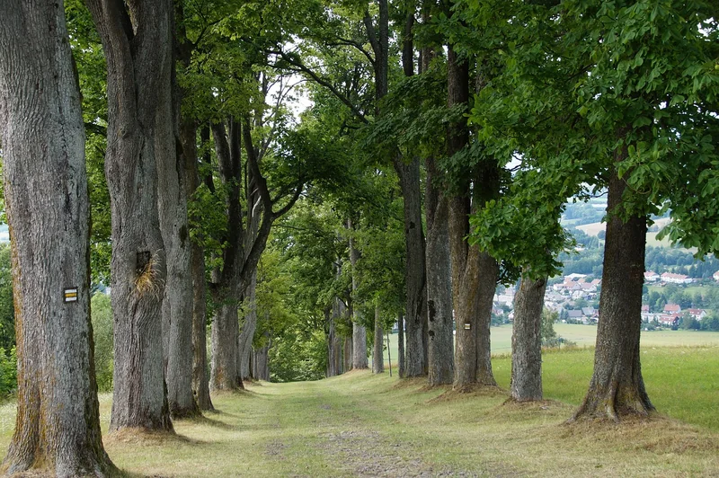 연말정산 오류 정정 방법