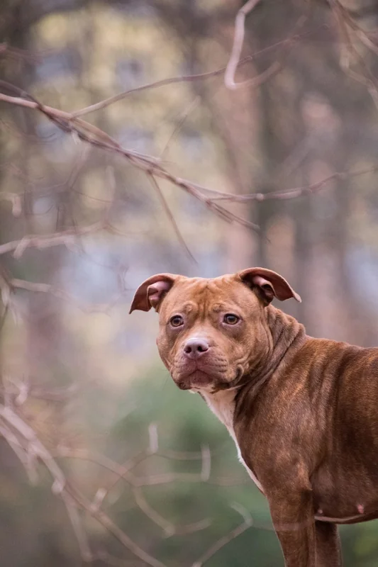 연말정산 필요서류 목록
