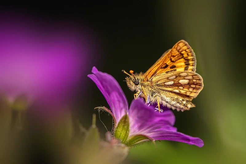 연말정산 환급금 조회