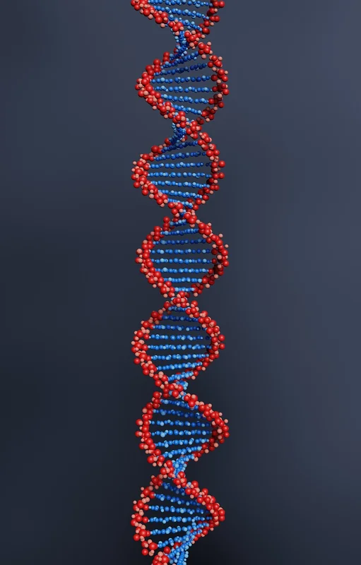 연봉별 세금 차이 분석