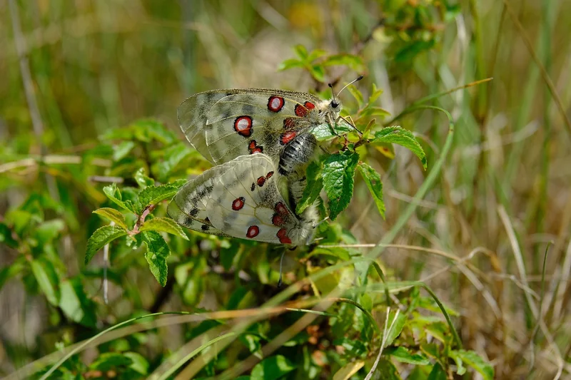 월세 세액공제 받는법