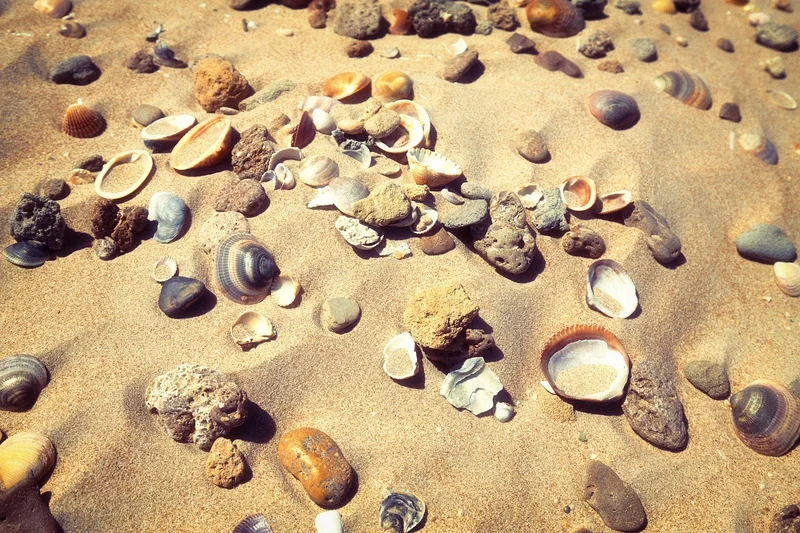 월세 세액공제 받는법