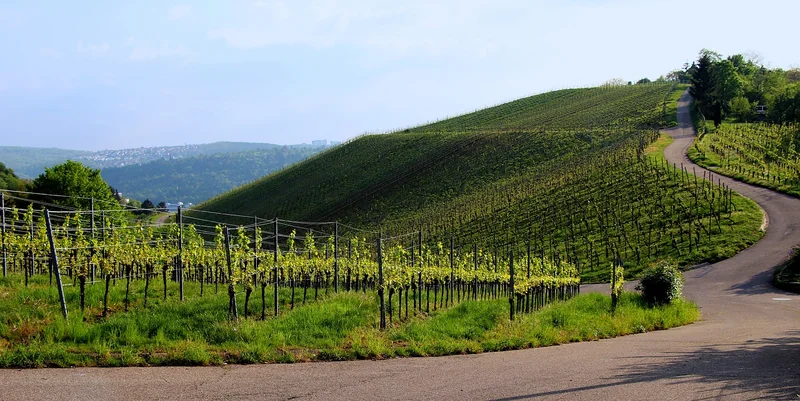 유튜브 광고 수익 신고 방법