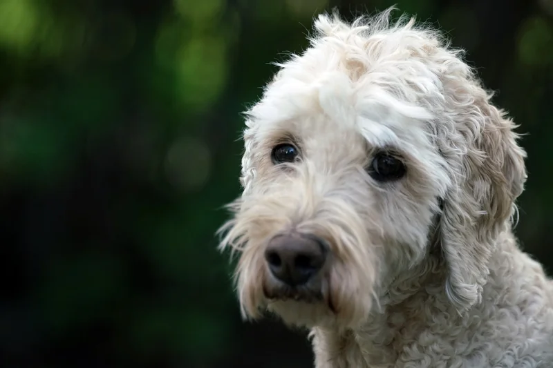 의료비 공제 기준