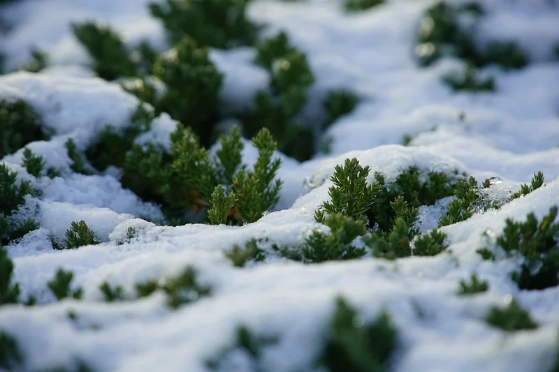 절세 목적 투자 상품