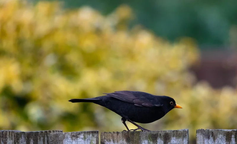 절세를 위한 가계부 작성법