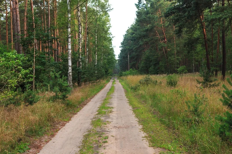 종합소득세 환급 방법