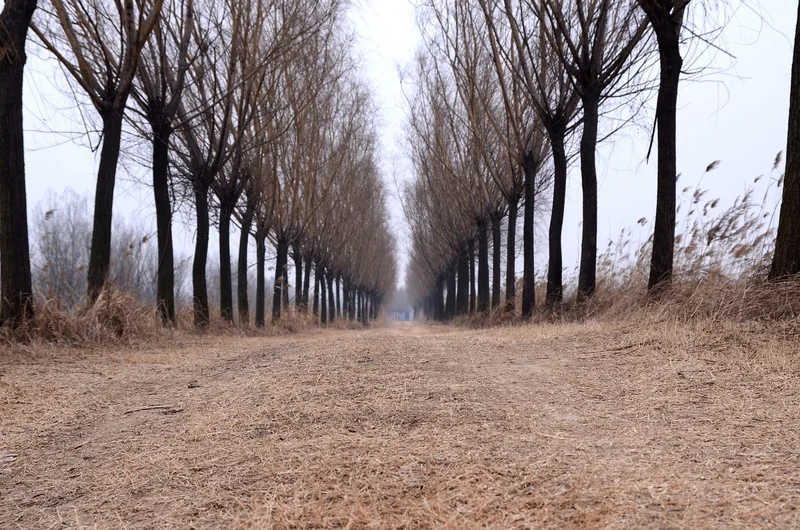 주민세 자동이체 방법