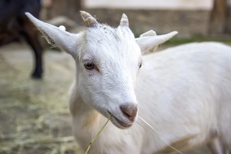 주식 양도소득세 절세