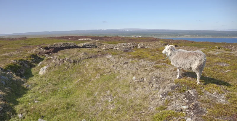 주식 양도소득세 절세