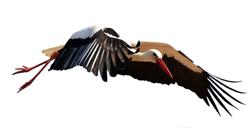 증여세 면제 기준