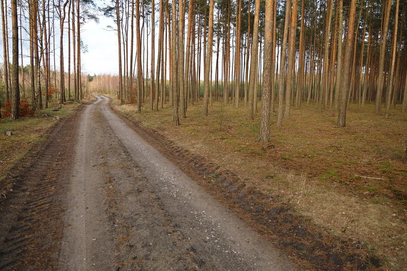 지방세 환급 방법