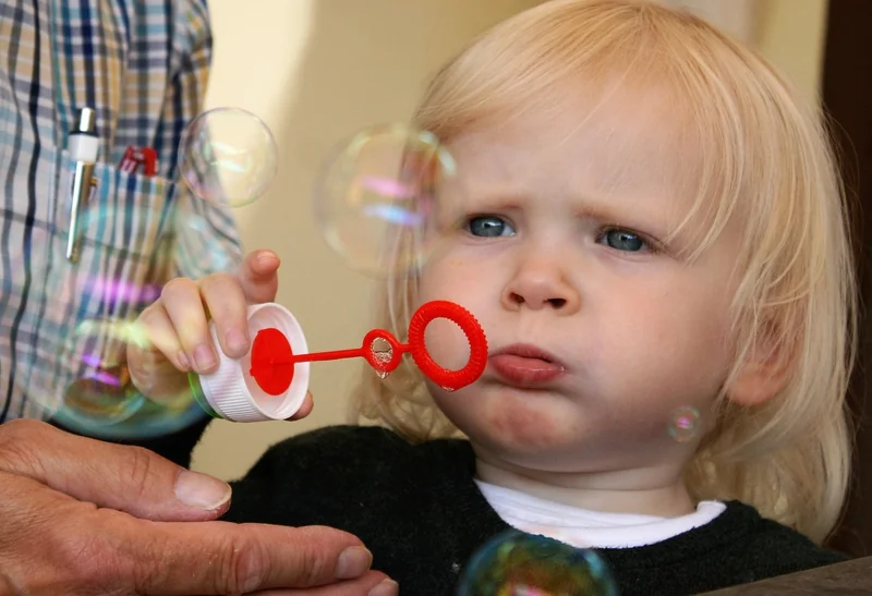 직장인 보험 추천