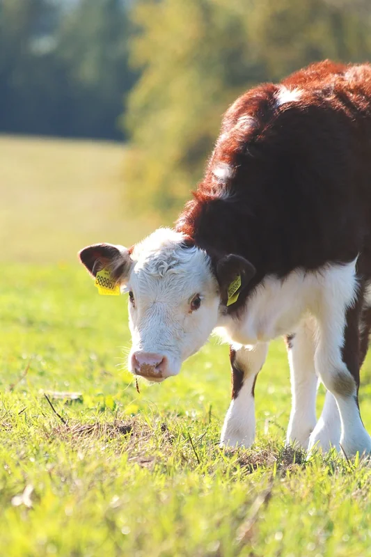 직장인 부업 세금 신고