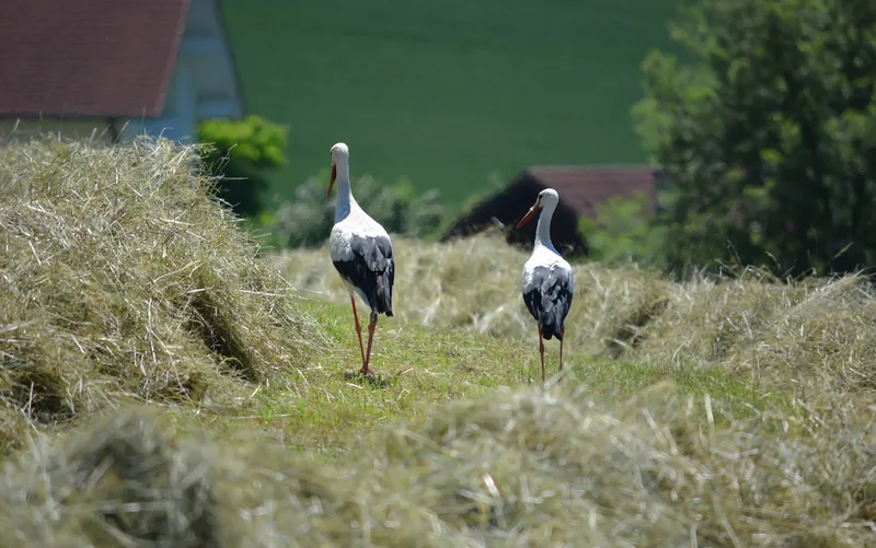 직장인 절세 달력 만들기