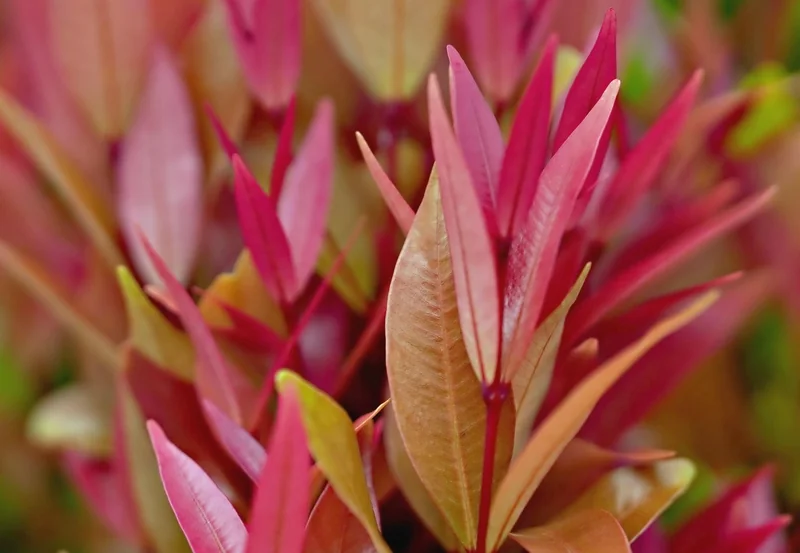 직장인 절세 팁