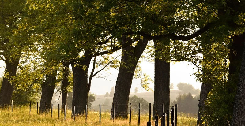 직장인 종합소득세 신고 방법