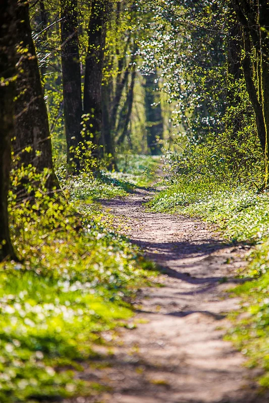 직장인 종합소득세 신고 방법