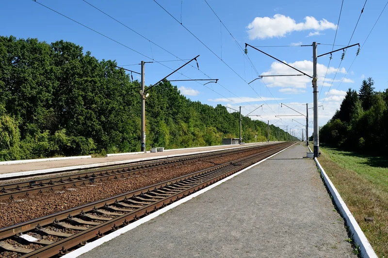 치아보험 절세 방법