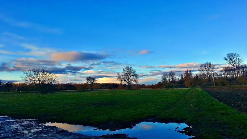 퇴직 후 연금 수령 전략
