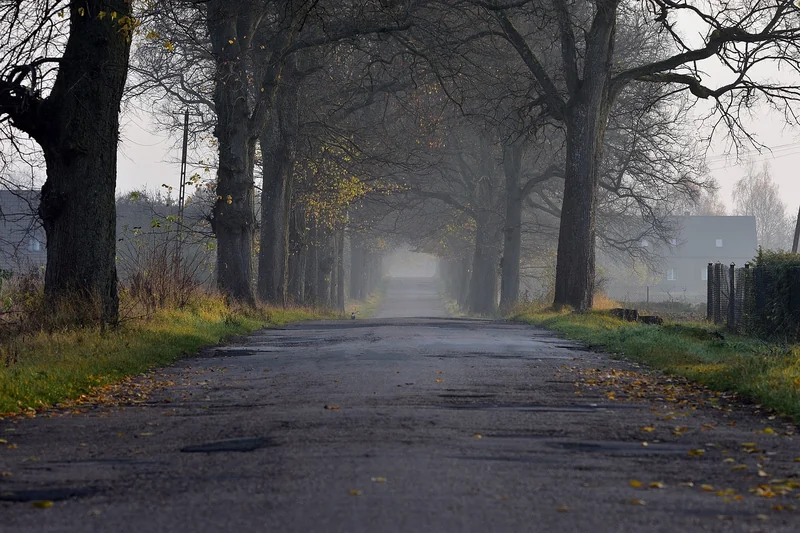 퇴직연금 절세 방법