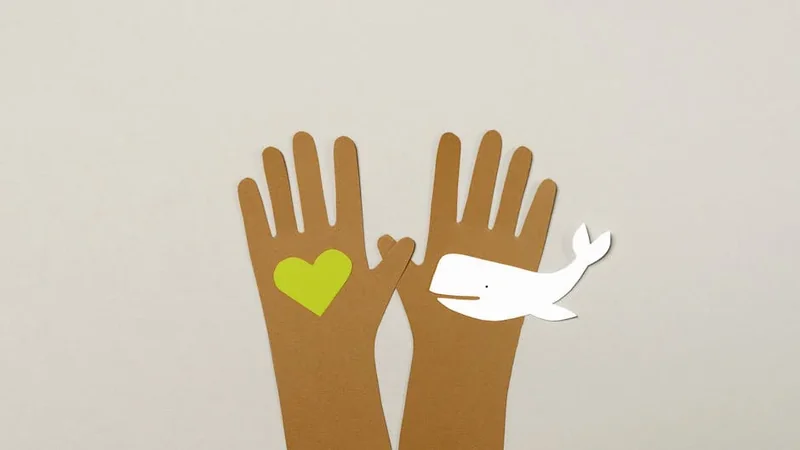 기후환경 관련 지원