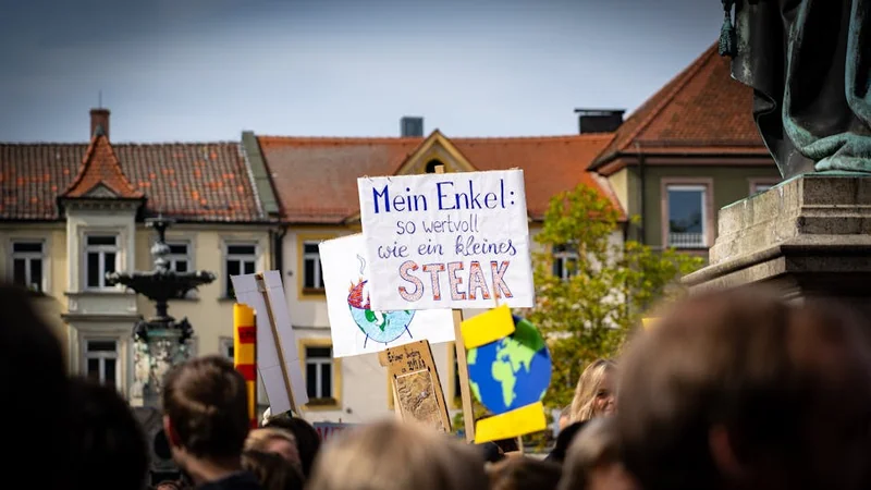 기후환경 관련 지원