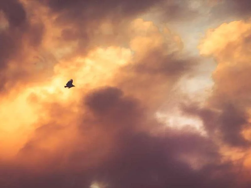 벤처기업 창업 지원