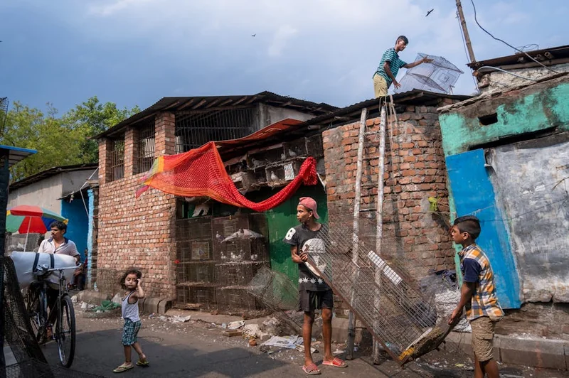 사회적 기업 지원금